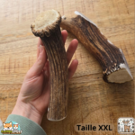 Bois de cerf entier naturel pour chien – mastication longue durée