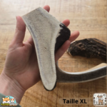 Bois de cerf tranché naturel pour chien – friandise à mâcher