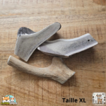 Bois de cerf tranché naturel pour chien – friandise à mâcher