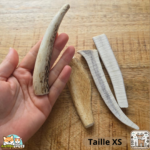 Bois de cerf tranché naturel pour chien – friandise à mâcher