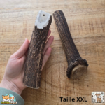 Bois de cerf tranché naturel pour chien – friandise à mâcher