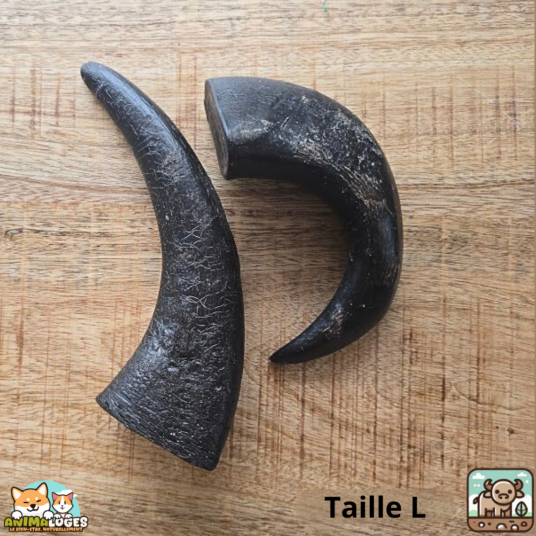 Corne de buffle pleine naturelle pour chien – friandise à mâcher longue durée