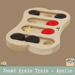 Jouet Brain Train Apollo en MDF pour stimulation mentale des chiens.