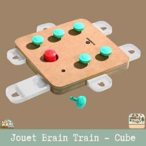 Jouet Brain Train Cube pour chien en MDF avec revêtement antidérapant pour une stimulation mentale.