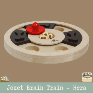 Jouet interactif Brain Train Hera en MDF pour stimulation mentale des chiens.