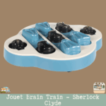 Jouet Brain Train Sherlock Clyde pour chien, avec plusieurs compartiments à friandises et ventouses antidérapantes.