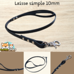 Laisse en sangle enduite personnalisée pour petits chiens et chiots, disponible en plusieurs couleurs et boucleries.