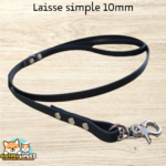 Laisse en sangle enduite personnalisée pour petits chiens et chiots, disponible en plusieurs couleurs et boucleries.