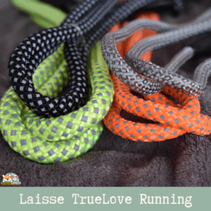 Laisse en nylon haute densité de 180 cm avec poignée en néoprène et tissu réfléchissant 3M.