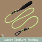 Laisse en nylon haute densité de 180 cm avec poignée en néoprène et tissu réfléchissant 3M.