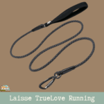 Laisse en nylon haute densité de 180 cm avec poignée en néoprène et tissu réfléchissant 3M.