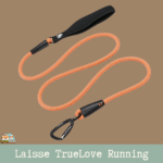 Laisse en nylon haute densité de 180 cm avec poignée en néoprène et tissu réfléchissant 3M.