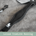 Laisse en nylon haute densité de 180 cm avec poignée en néoprène et tissu réfléchissant 3M.