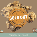 Friandises naturelles de poumon de bœuf pour chien, en morceaux déshydratés.
