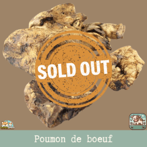 Friandises naturelles de poumon de bœuf pour chien, en morceaux déshydratés.