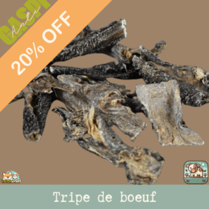 Tripe de bœuf séchée pour chiens, friandise naturelle et savoureuse.