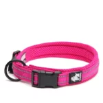 Collier Truelove Flex pour chien avec boucle en acier inoxydable et coutures réfléchissantes.