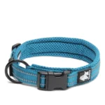 Collier Truelove Flex pour chien avec boucle en acier inoxydable et coutures réfléchissantes.