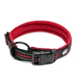 Collier Truelove Flex pour chien avec boucle en acier inoxydable et coutures réfléchissantes.