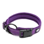 Collier Truelove Flex pour chien avec boucle en acier inoxydable et coutures réfléchissantes.