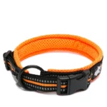 Collier Truelove Flex pour chien avec boucle en acier inoxydable et coutures réfléchissantes.