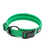 Collier Truelove Flex pour chien avec boucle en acier inoxydable et coutures réfléchissantes.