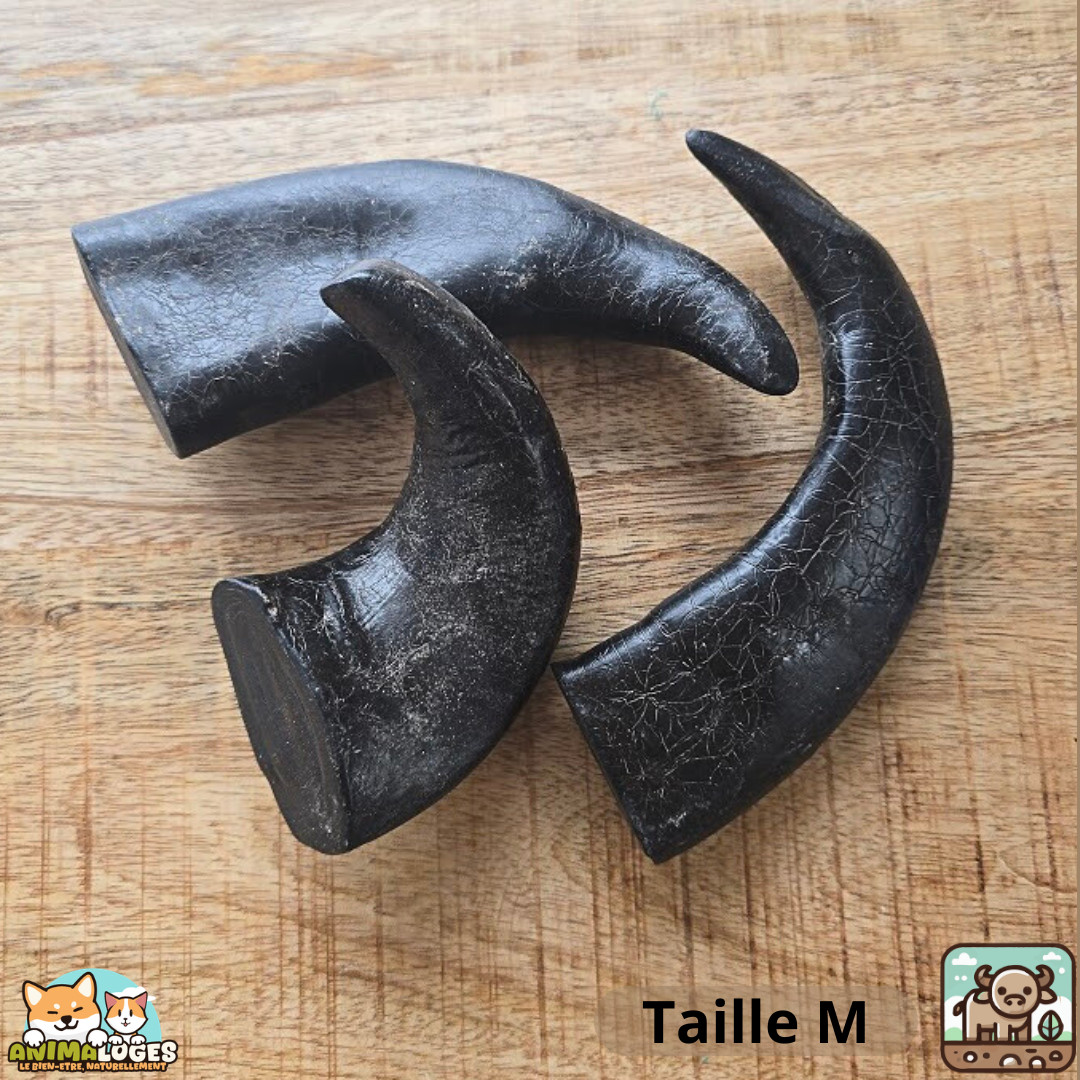 Corne de buffle pleine naturelle pour chien – friandise à mâcher longue durée