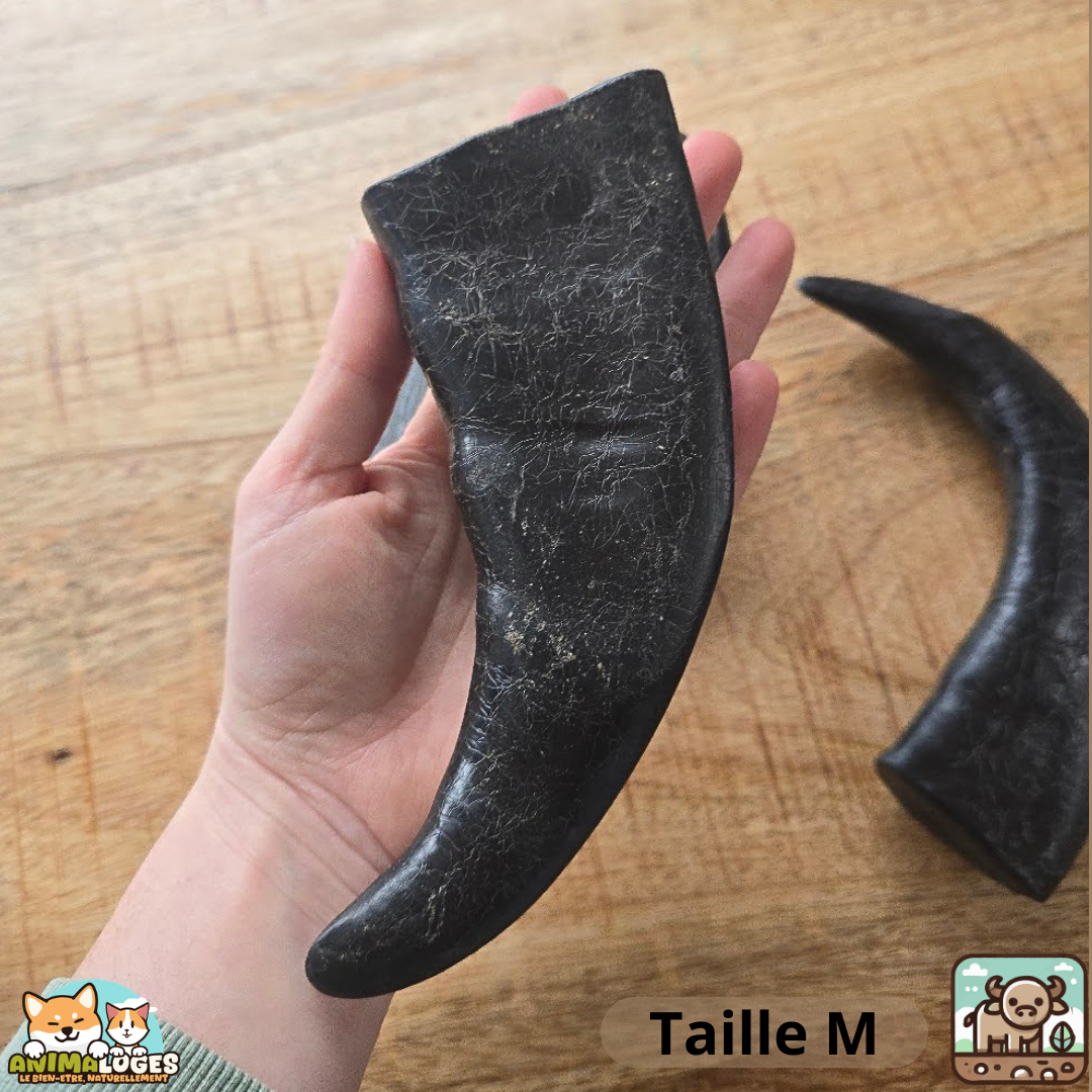 Corne de buffle pleine naturelle pour chien – friandise à mâcher longue durée