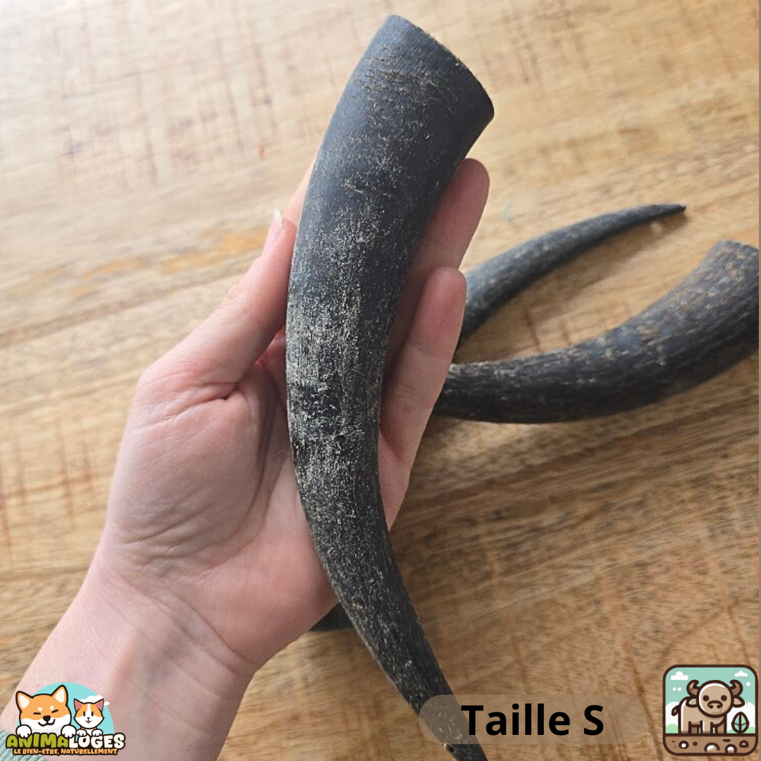 Corne de buffle pleine naturelle pour chien – friandise à mâcher longue durée