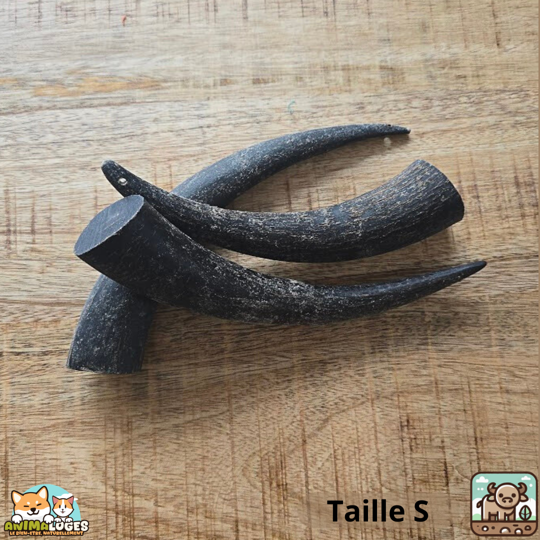 Corne de buffle pleine naturelle pour chien – friandise à mâcher longue durée