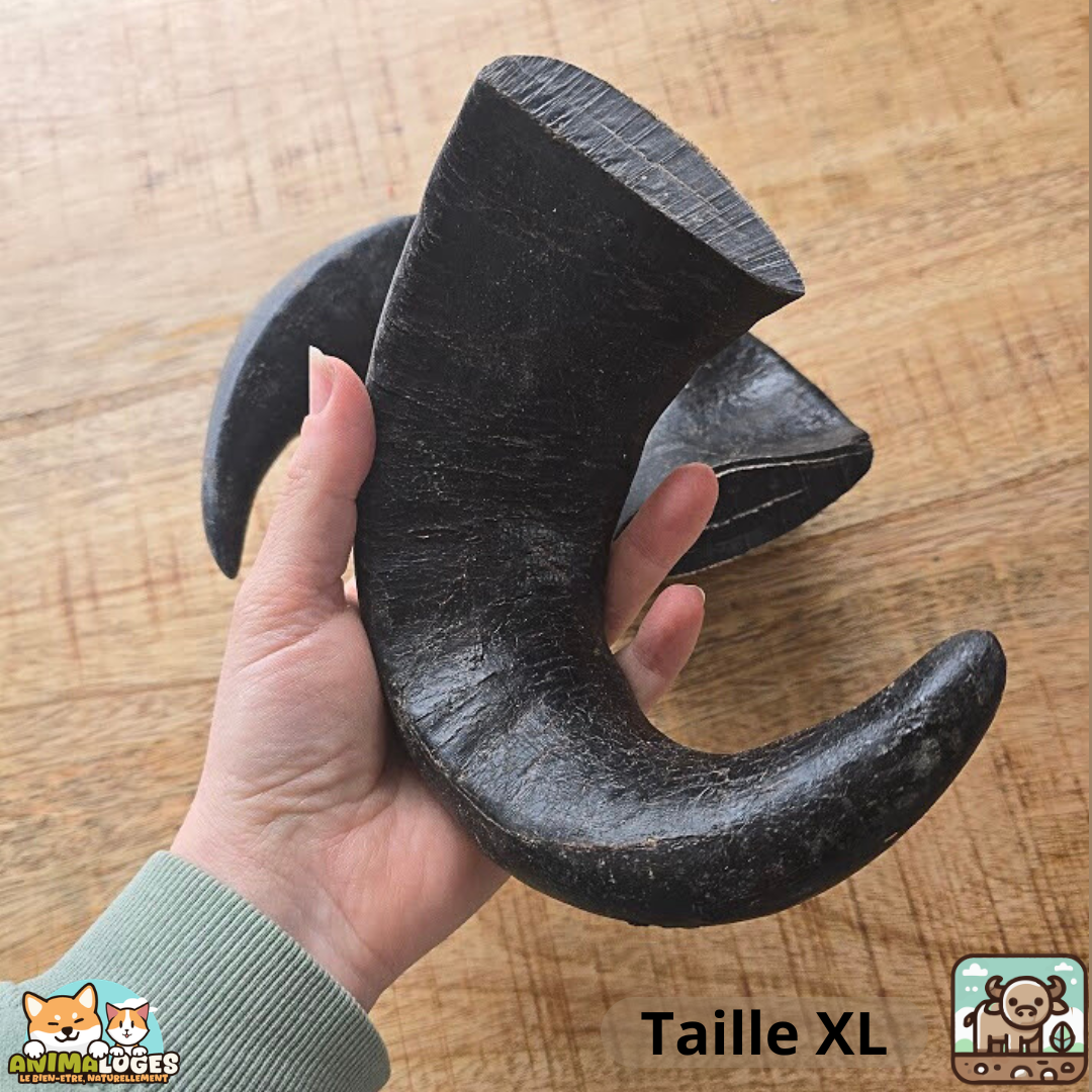 Corne de buffle pleine naturelle pour chien – friandise à mâcher longue durée