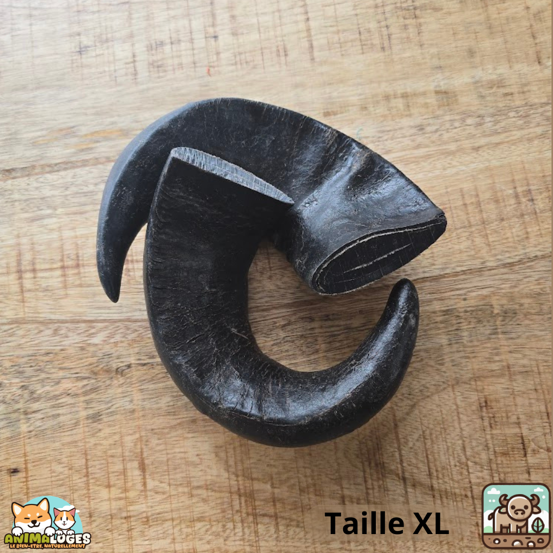 Corne de buffle pleine naturelle pour chien – friandise à mâcher longue durée