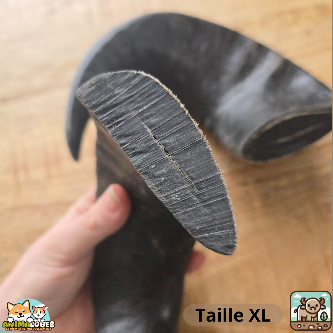 Corne de buffle pleine naturelle pour chien – friandise à mâcher longue durée