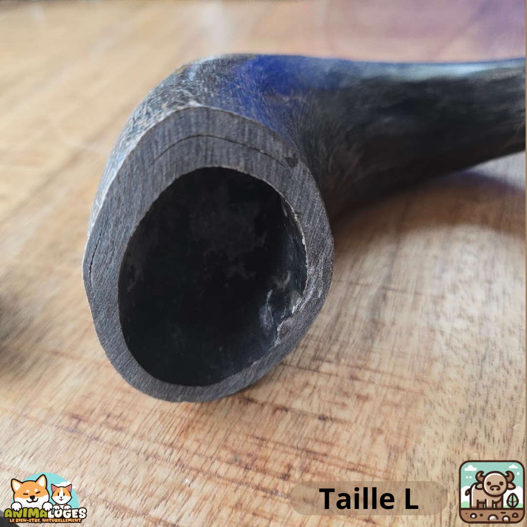 Corne de buffle creuse naturelle pour chien – friandise