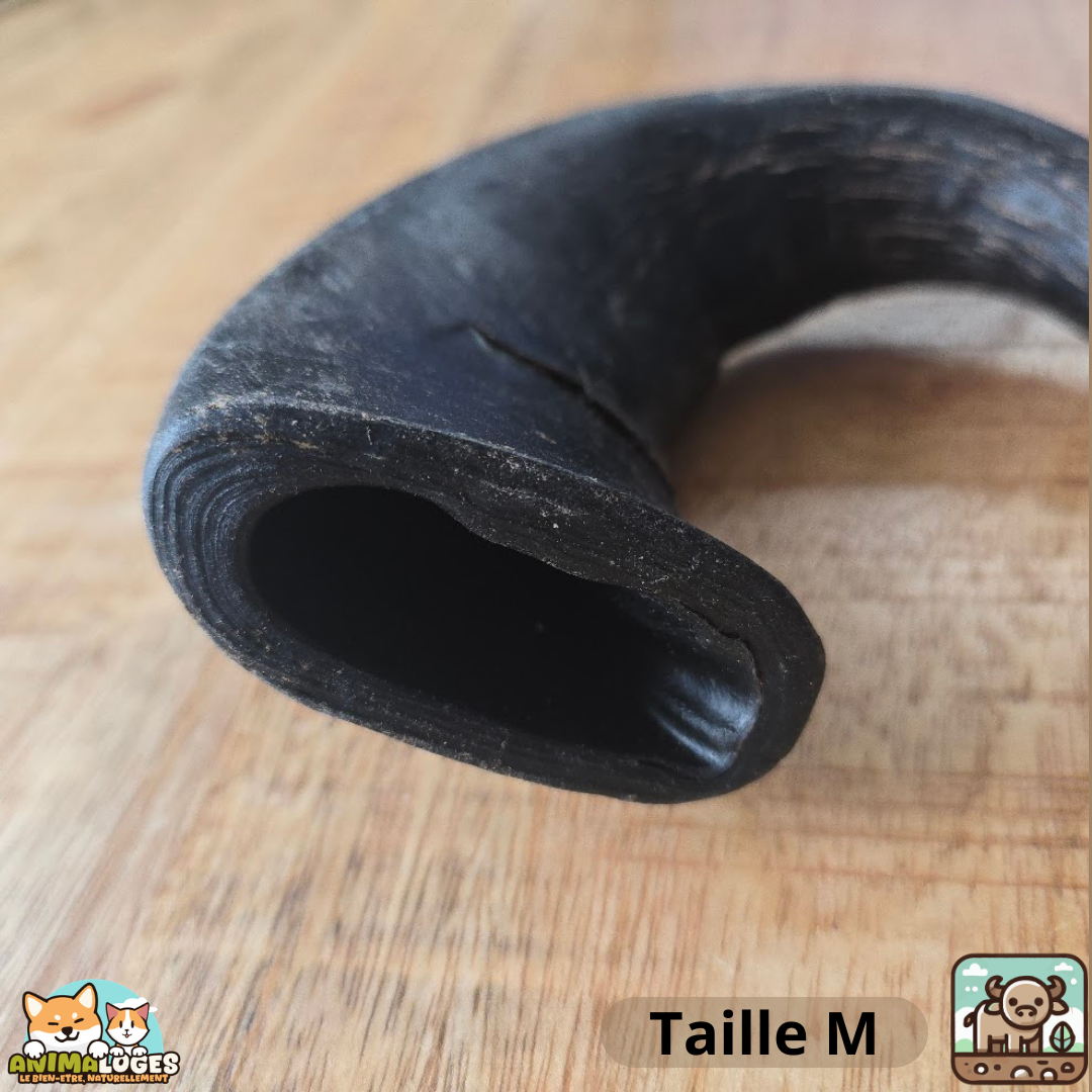 Corne de buffle creuse naturelle pour chien – friandise