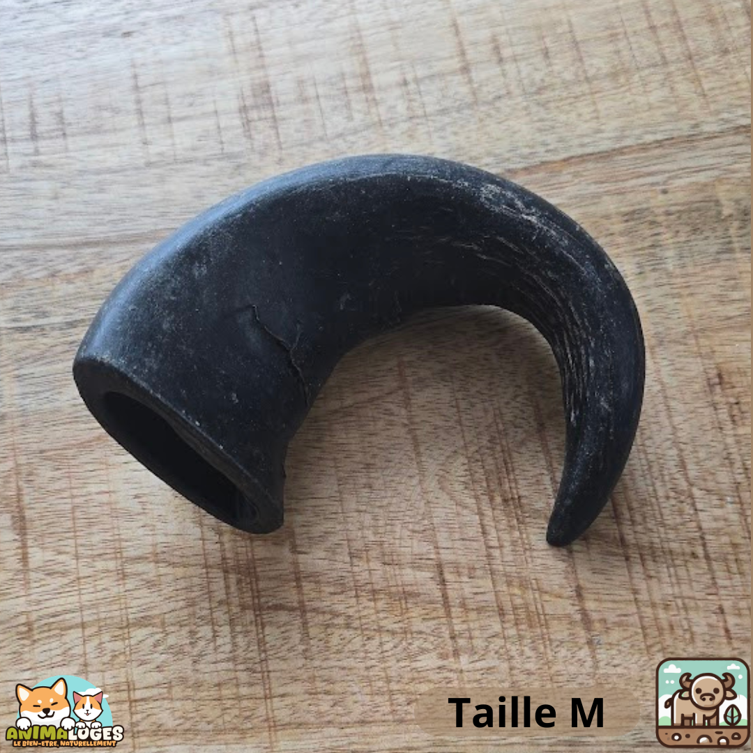 Corne de buffle creuse naturelle pour chien – friandise