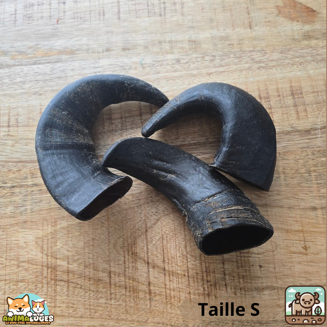 Corne de buffle creuse naturelle pour chien – friandise