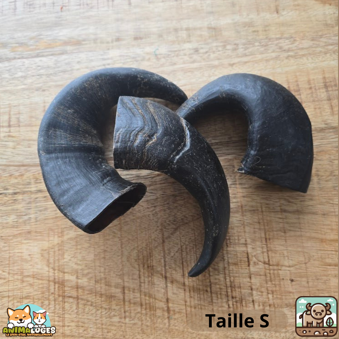 Corne de buffle creuse naturelle pour chien – friandise
