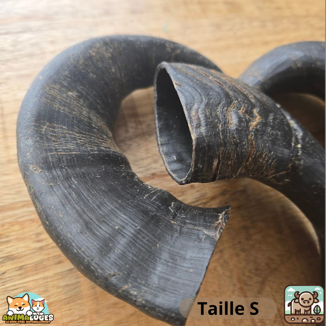 Corne de buffle creuse naturelle pour chien – friandise