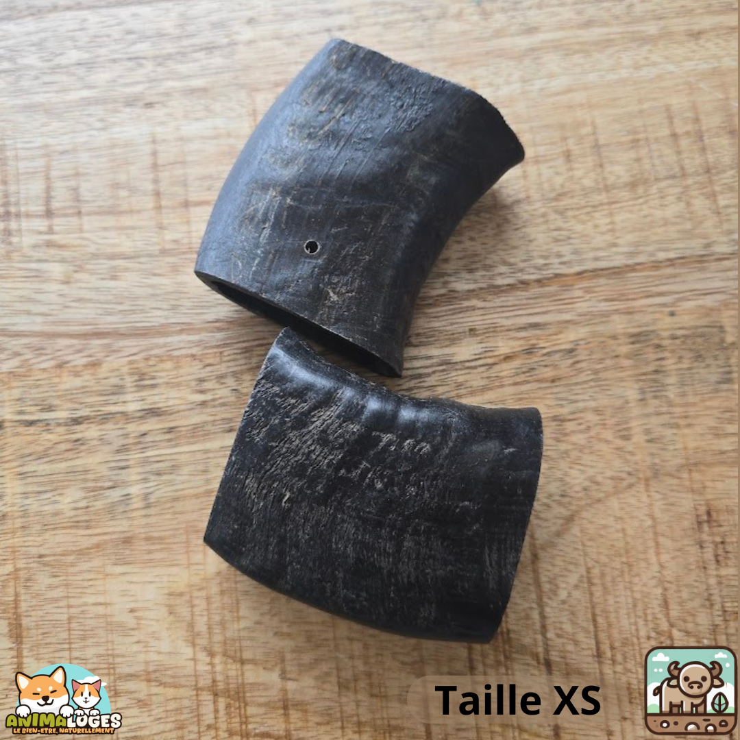 Corne de buffle creuse naturelle pour chien – friandise