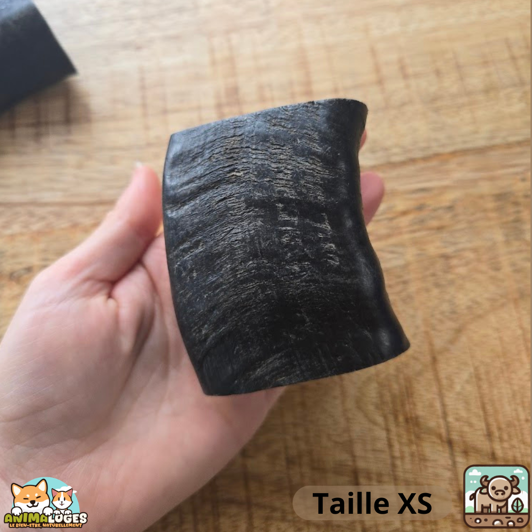 Corne de buffle creuse naturelle pour chien – friandise