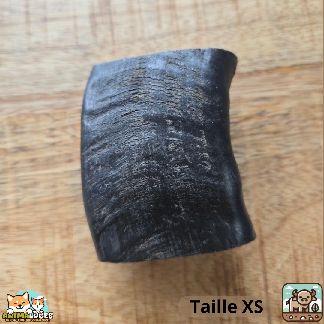 Corne de buffle creuse naturelle pour chien – friandise