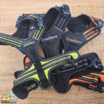 Harnais Truelove Forest anti-traction pour chien