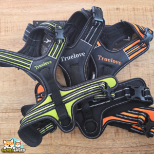 Harnais Truelove Forest anti-traction pour chien