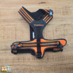 Harnais Truelove Forest anti-traction pour chien