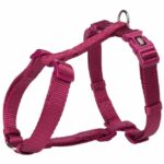 Harnais Premium H ajustable pour chien, disponible en plusieurs couleurs et tailles.