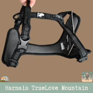 Harnais Truelove Mountain anti-traction noir avec coutures réfléchissantes, réglable au cou et au poitrail.