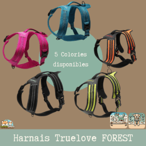 Harnais Truelove Forest anti-traction pour chien, avec double boucle et coutures réfléchissantes.
