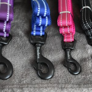 Laisse Truelove Walk réfléchissante pour chien avec anneau d'attache en zinc et coutures réfléchissantes.