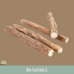 Bâtonnets de Matatabi pour chats, friandise naturelle sans céréales ni additifs.